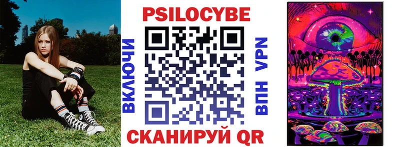 дарнет шоп  Усть-Катав  Галлюциногенные грибы ЛСД 